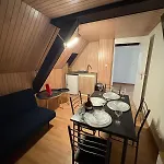Maison De Maitre A Strasbourg 3 * Illkirch-Graffenstaden