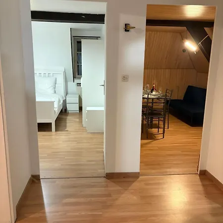 Lägenhet Maison De Maitre A Strasbourg 3 *
