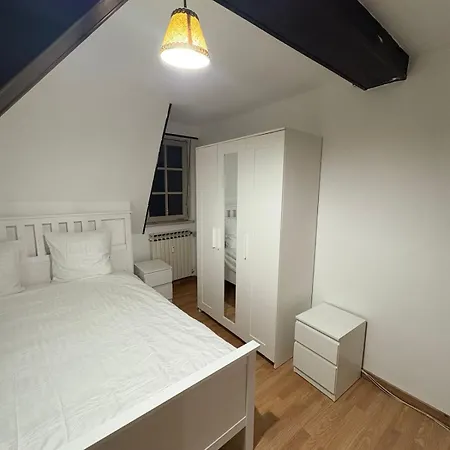 Maison De Maitre A Strasbourg 3 Lägenhet