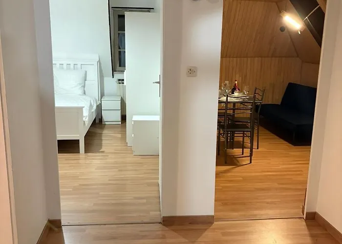 Lägenhet Maison De Maitre A Strasbourg 3 *