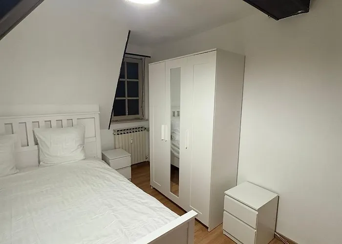 Maison De Maitre A Strasbourg 3 Lägenhet